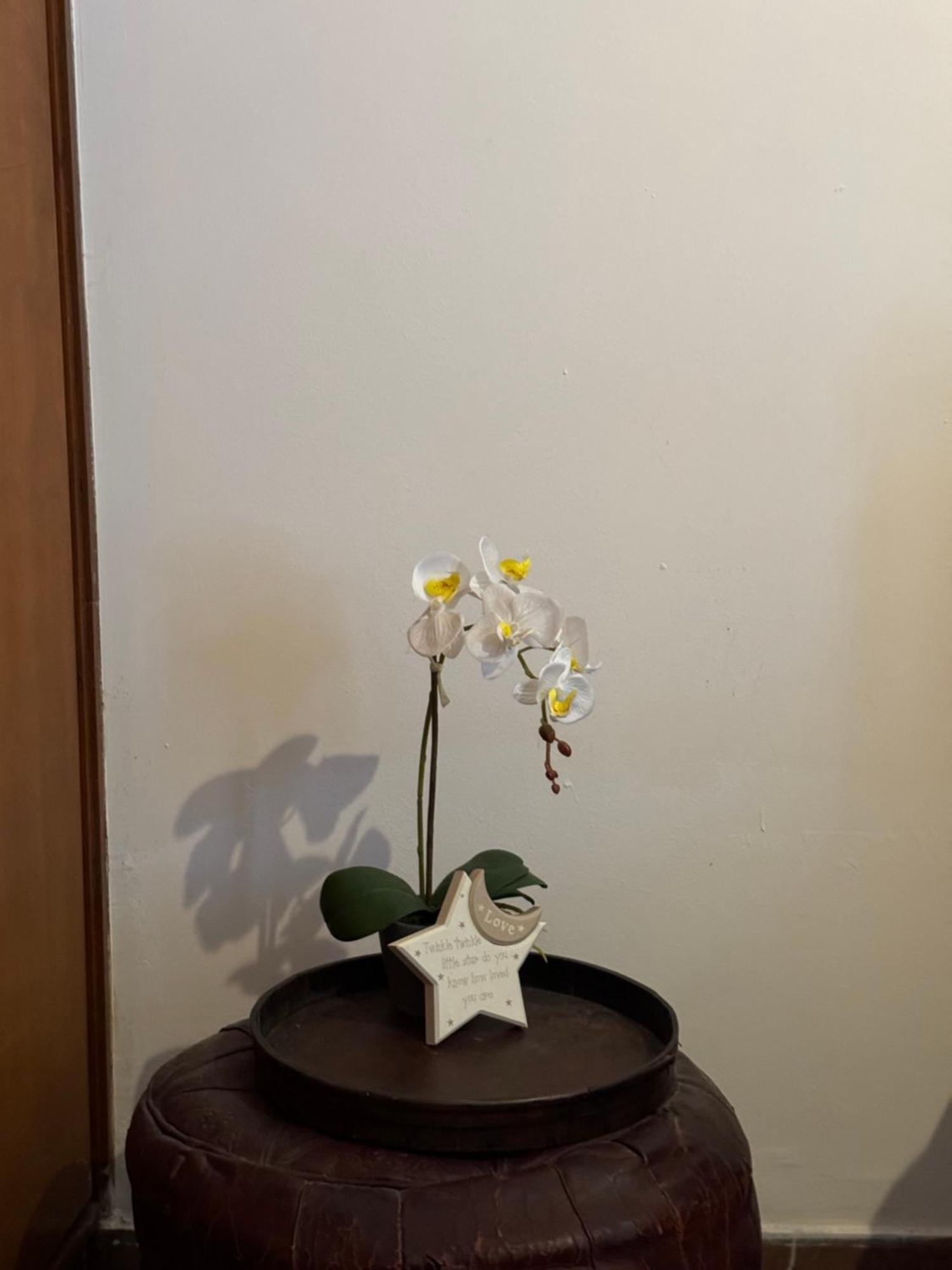 Apollo Apartment Athens/Airport Spáta 外观 照片