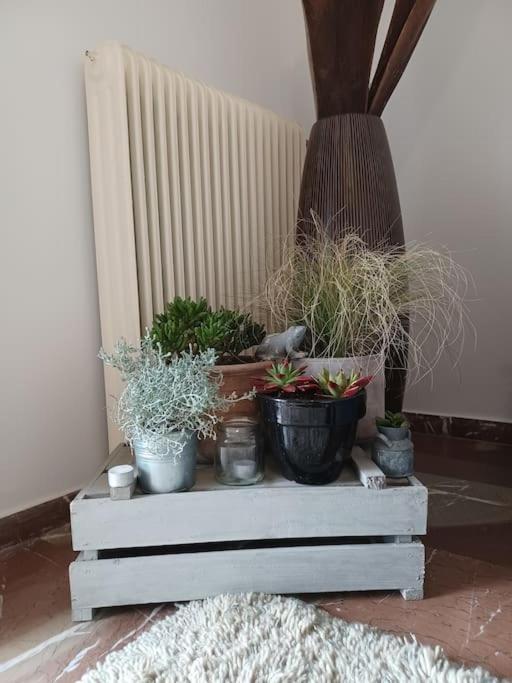 Apollo Apartment Athens/Airport Spáta 外观 照片